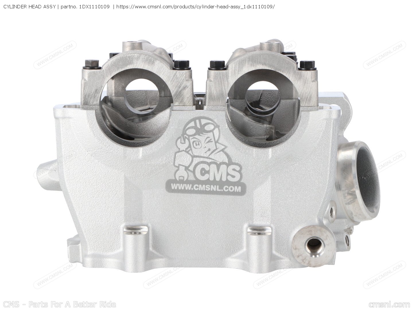 1DX1110109: CYLINDER HEAD ASSY Yamaha - buy the 1DX-11101-09-00 at