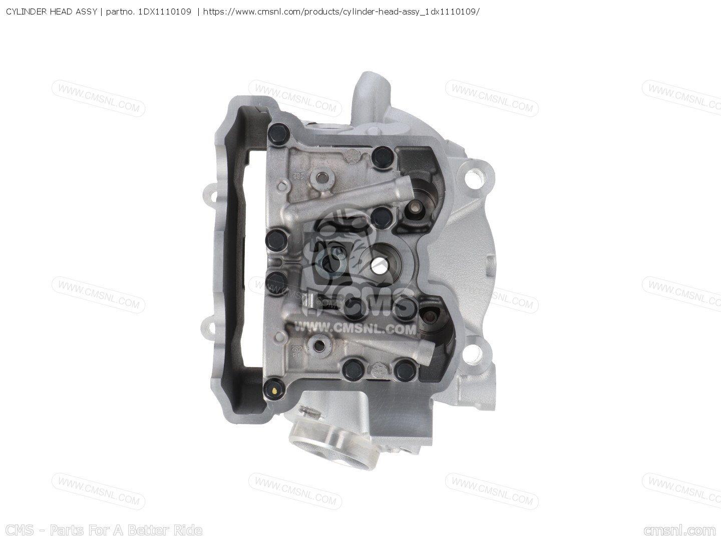 1DX1110109: CYLINDER HEAD ASSY Yamaha - buy the 1DX-11101-09-00 at