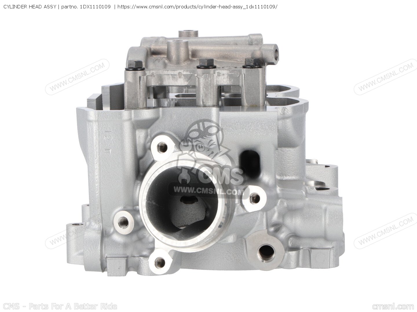 1DX1110109: CYLINDER HEAD ASSY Yamaha - buy the 1DX-11101-09