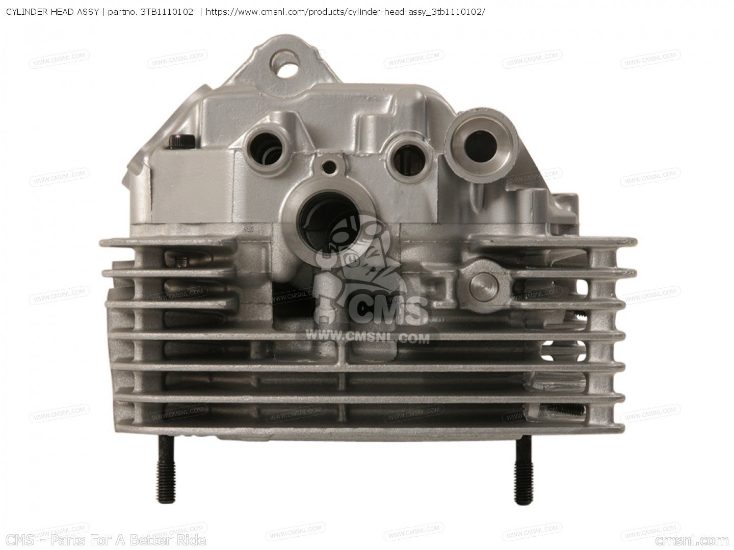 3TB1110102: CYLINDER HEAD ASSY Yamaha - buy the 3TB-11101-02 3TB1110102: CYLINDER HEAD ASSY Yamaha - buy the 3TB-11101-02