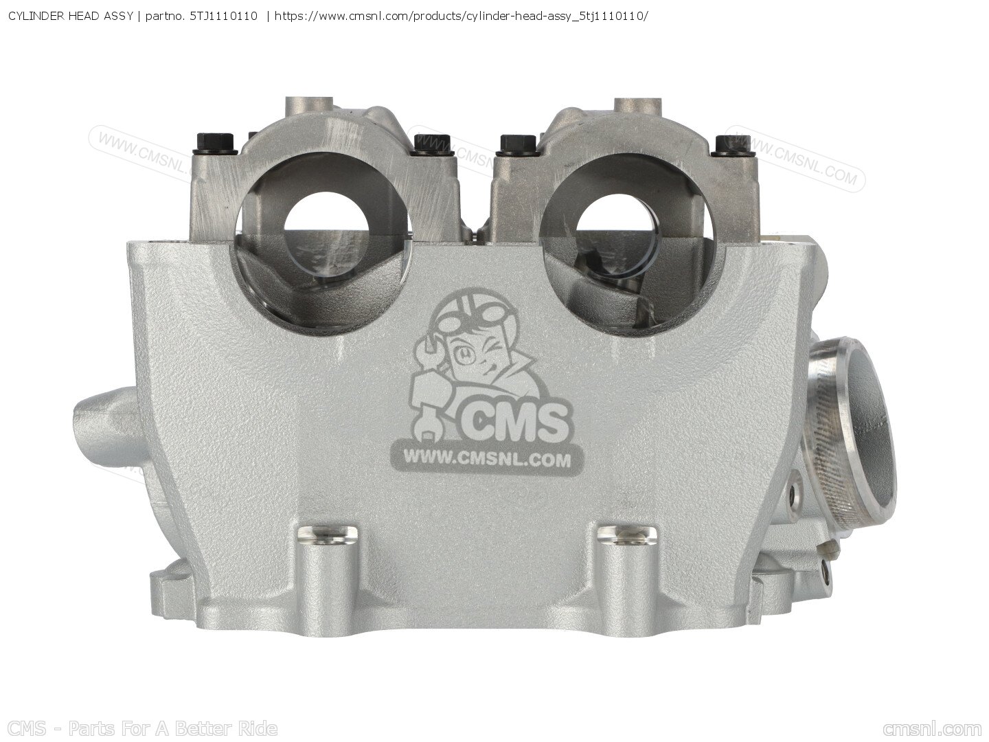 CYLINDER HEAD ASSY for Yamaha - order at CMSNL