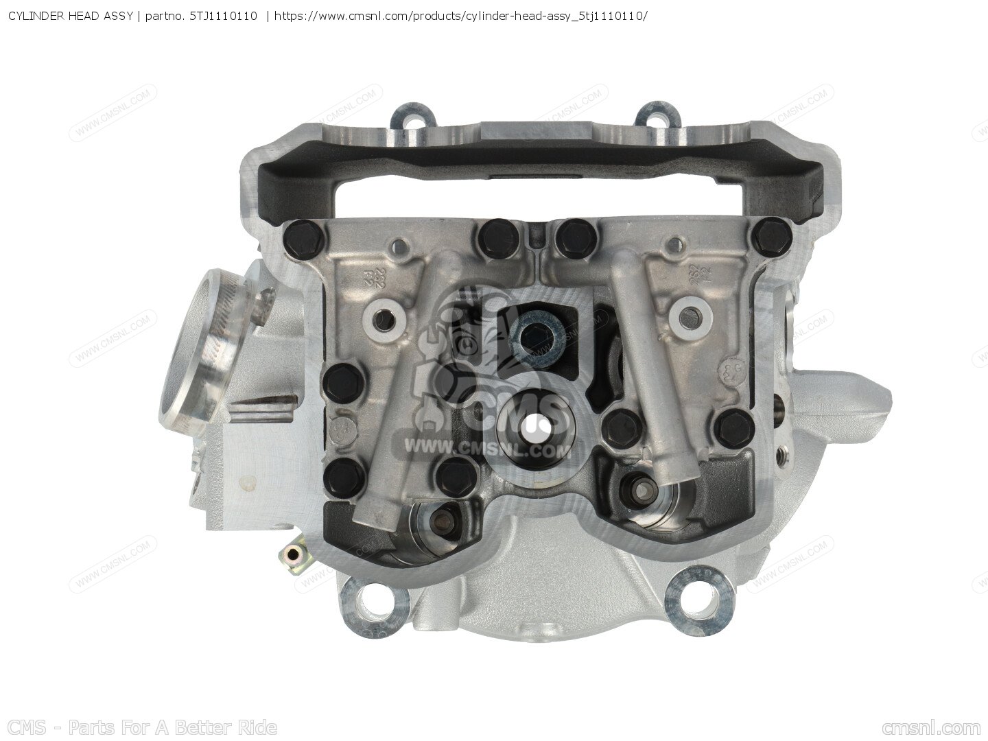 CYLINDER HEAD ASSY for Yamaha - order at CMSNL