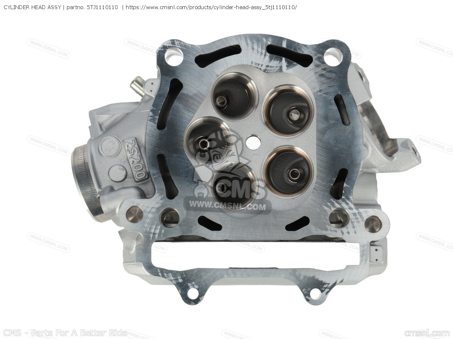 CYLINDER HEAD ASSY for Yamaha - order at CMSNL