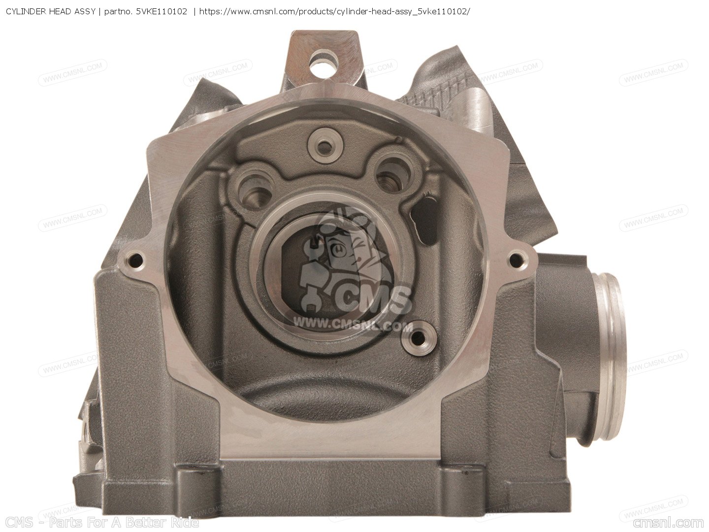 5VKE110102: CYLINDER HEAD ASSY Yamaha - buy the 5VK-E1101-02-00 at