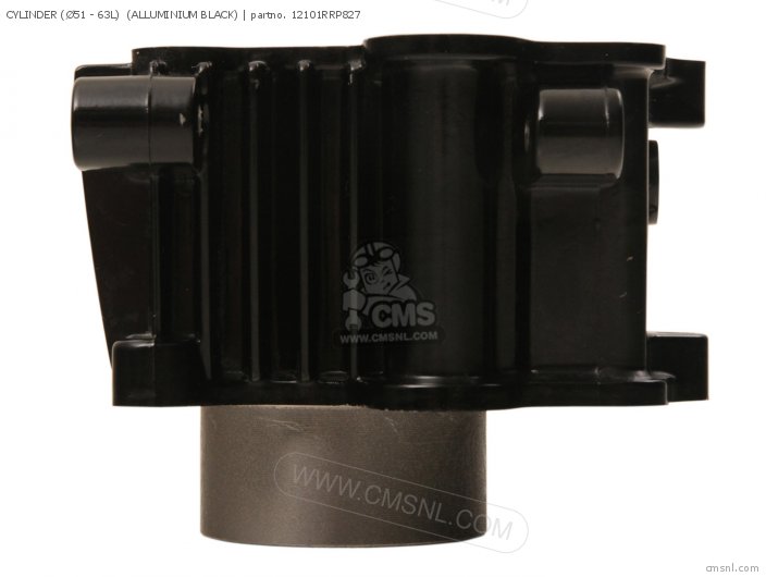 Honda CYLINDER (51 - 63L)  (ALLUMINIUM BLACK) 12101RRP827