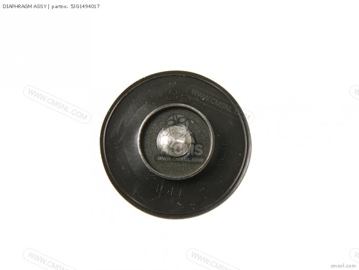 DIAPHRAGM ASSY