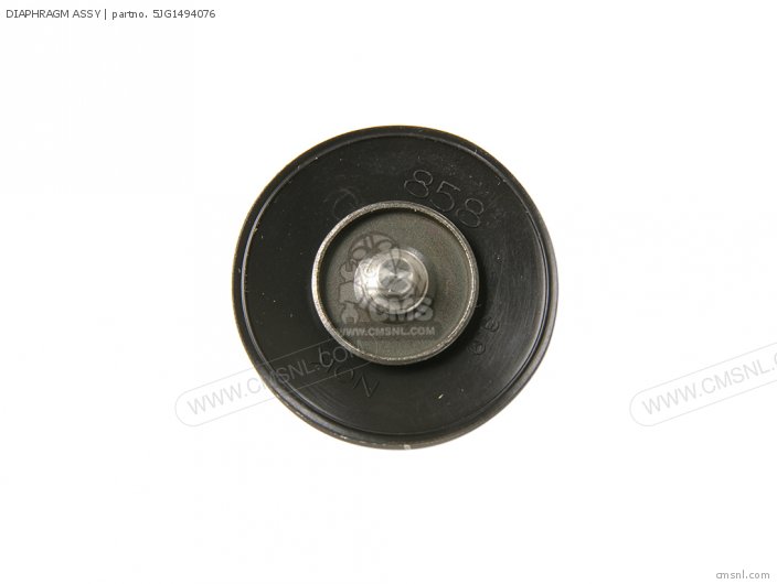 DIAPHRAGM ASSY