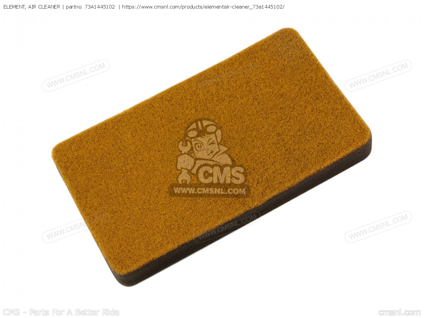 ELEMENT, AIR CLEANER for EC5000DV EC5000DVE GENERATOR order at CMSNL