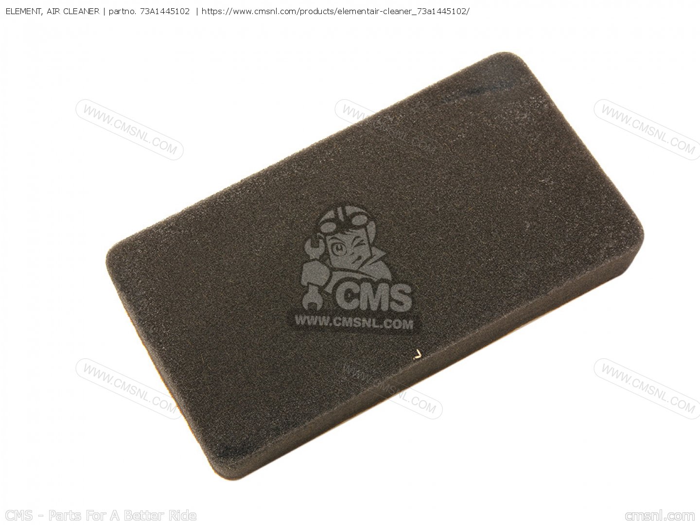 ELEMENT, AIR CLEANER for EC5000DV EC5000DVE GENERATOR order at CMSNL