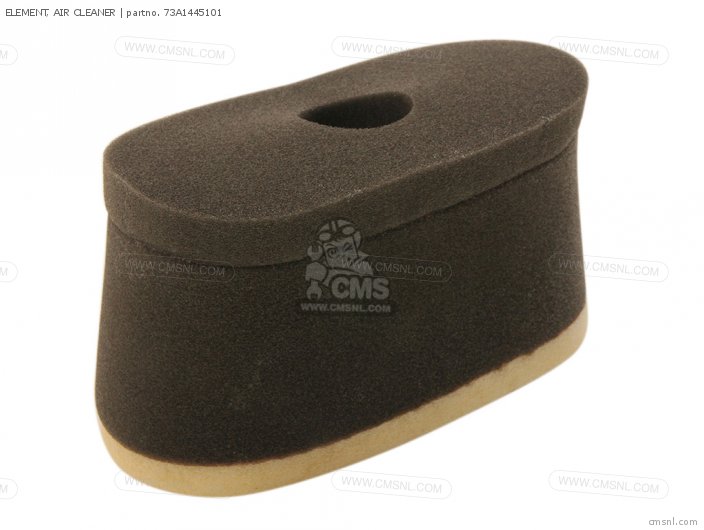 ELEMENT, AIR CLEANER for EF4000DVE EF5000DVE GENERATOR order at CMSNL