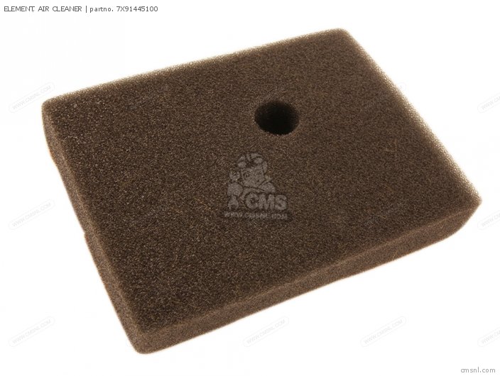 ELEMENT, AIR CLEANER for EF600 GENERATOR order at CMSNL