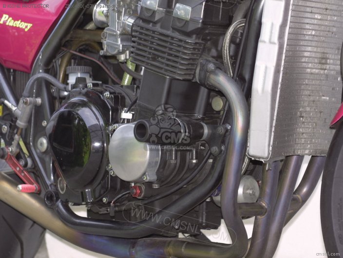 Daytona ENGINE PROTECTOR ZRX400(-07) 64884 Daytona ENGINE PROTECTOR ZRX400(-07) 64884