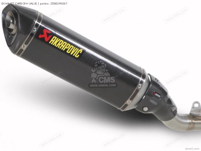 258EXP0067 Exhaust Carbon+valve Kawasaki buy the 258EXP0067 at CMSNL