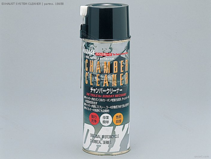 Daytona EXHAUST SYSTEM CLEANER 18658