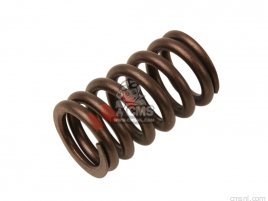 EXHAUST VALVE SPRING EXHAUST VALVE SPRING