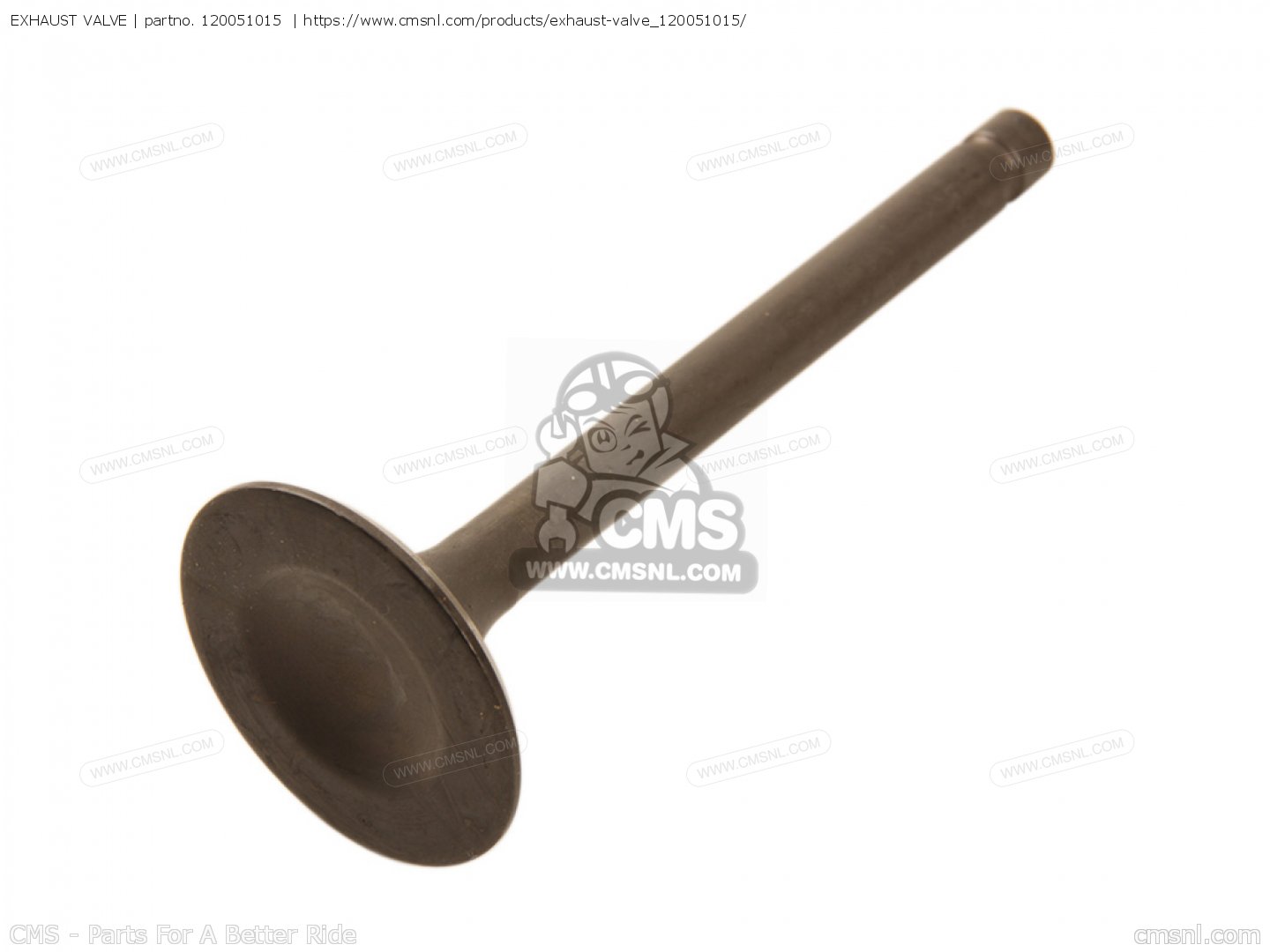 120051015 Exhaust Valve Kawasaki buy the 120051015 at CMSNL