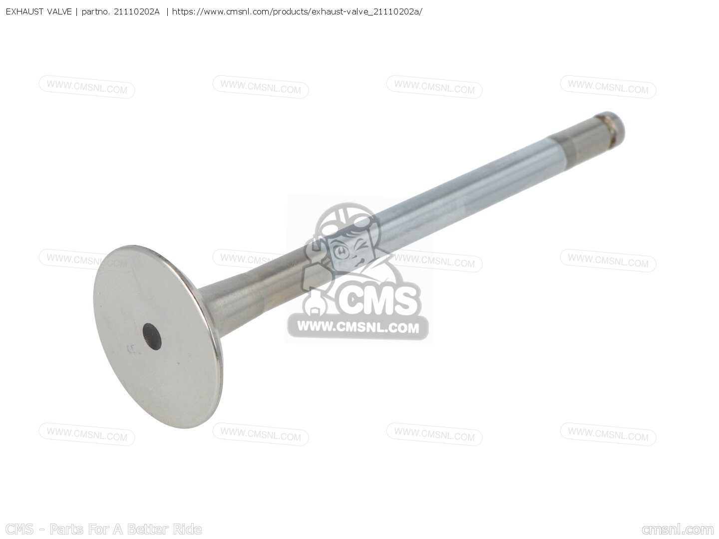 21110202A Exhaust Valve Ducati buy the 21110202A at CMSNL