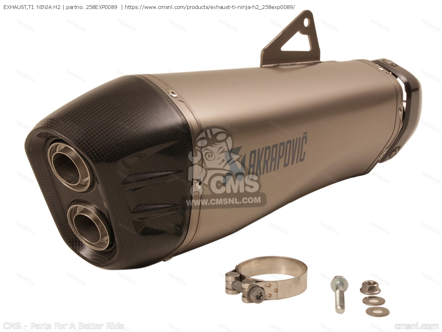 ninja h2 exhaust