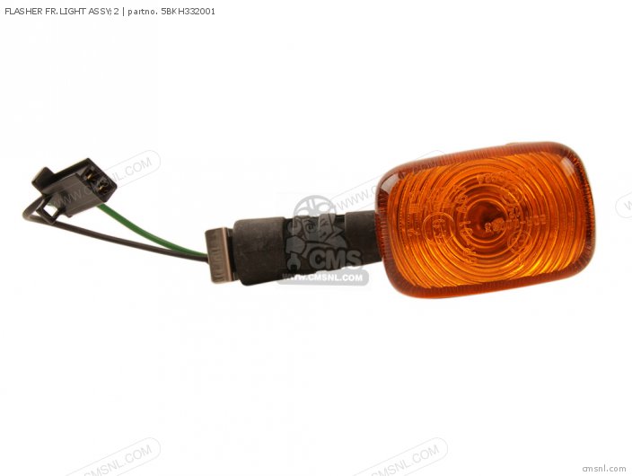 FLASHER FR.LIGHT ASSY;2 FLASHER FR.LIGHT ASSY;2