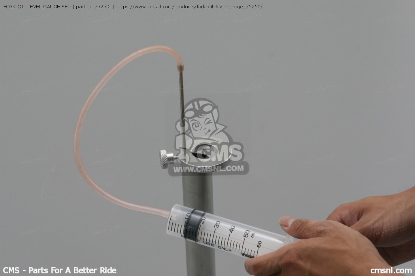 75250 Fork Oil Level Gauge Set Daytona buy the 75250 at CMSNL