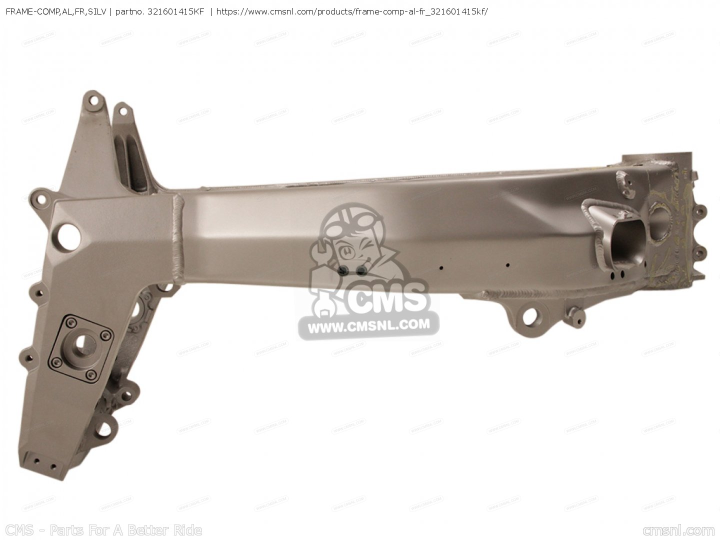 ミューナFFR１枚 16 18 19 20 Kawasaki Ninja ZX10R ZX10 MAIN FRAME CHASSIS S