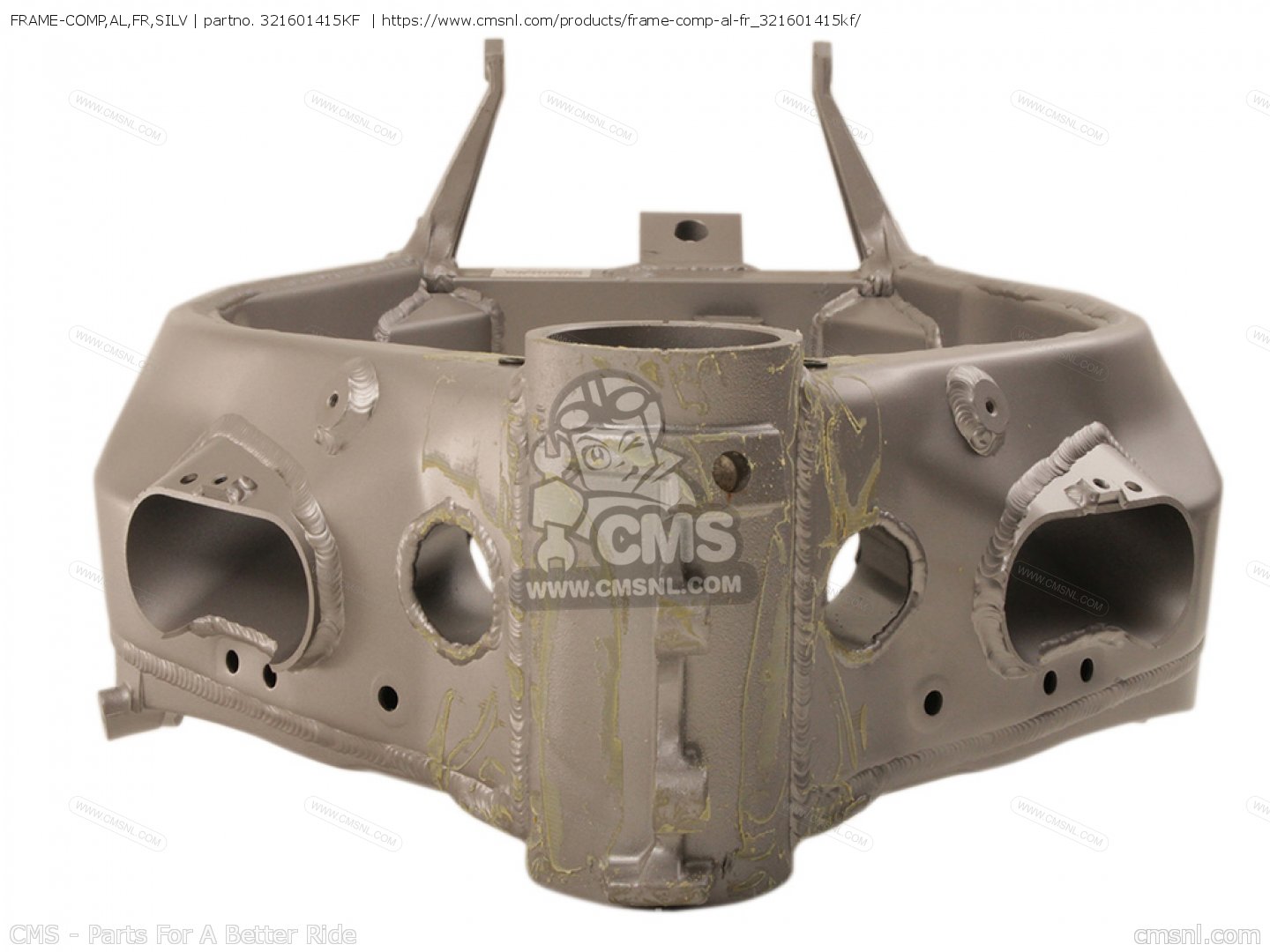 ミューナFFR１枚 16 18 19 20 Kawasaki Ninja ZX10R ZX10 MAIN FRAME CHASSIS S