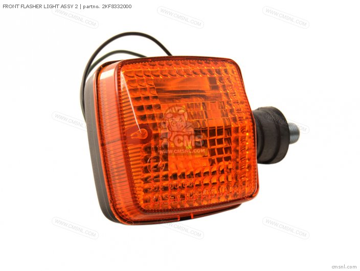 FRONT FLASHER LIGHT ASSY 2
