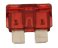 small image of FUSE 10A