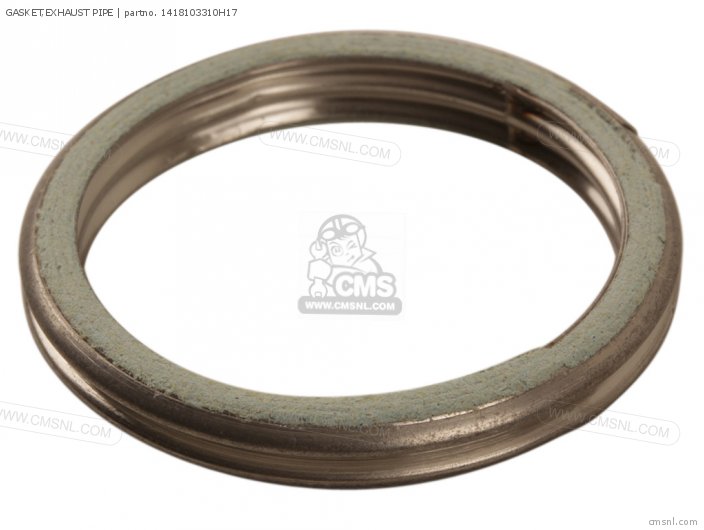 GASKET EXHAUST PIPE NAS