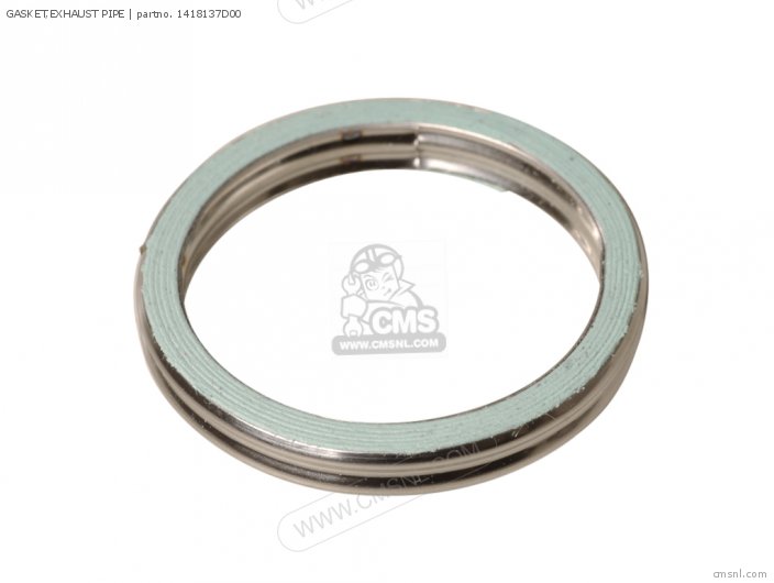 GASKET EXHAUST PIPE NAS