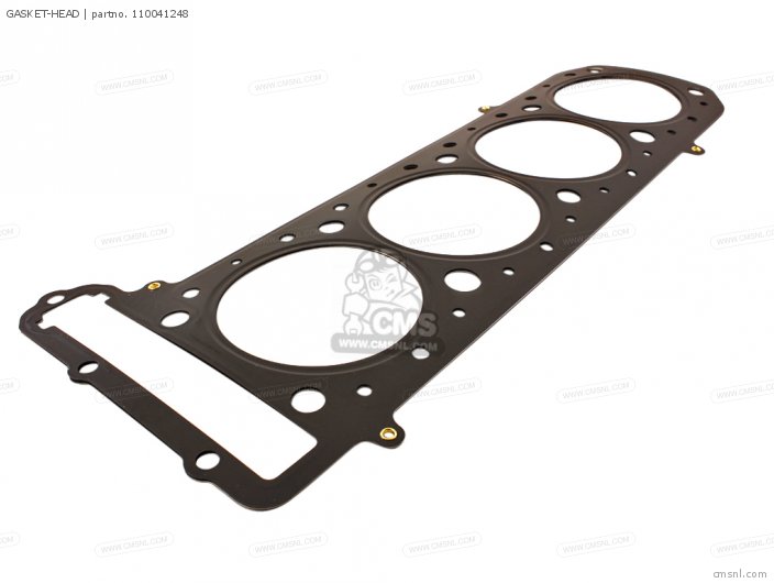 Gasket-head (nas) photo