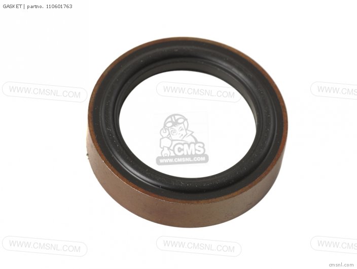 Kawasaki GASKET (NAS) 110601763