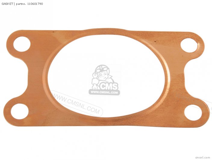 Kawasaki GASKET (NAS) 110601790