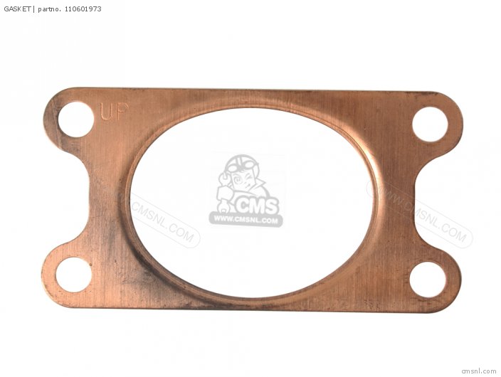 Kawasaki GASKET (NAS) 110601973