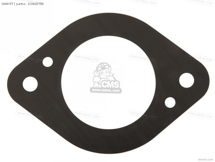 Kawasaki GASKET (NAS) 110603758