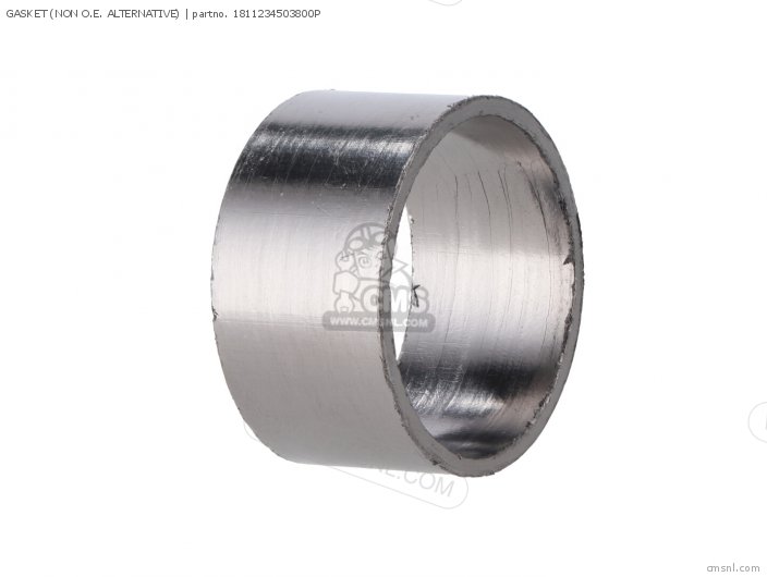 1811234503800P Gasket (non O.e. Alternative) Alternative Parts buy