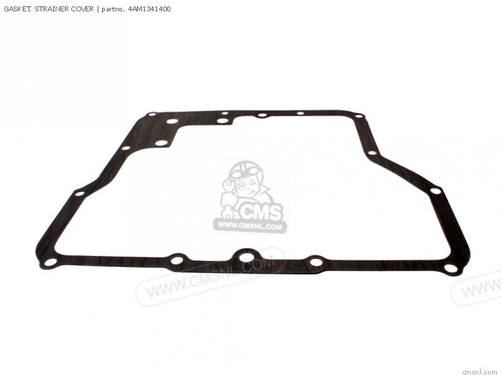 GASKET, STRAINER COVER GASKET, STRAINER COVER