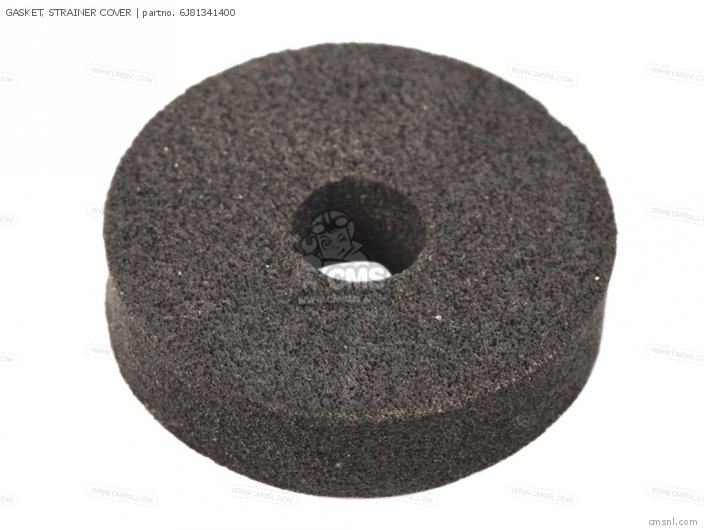 GASKET, STRAINER COVER GASKET, STRAINER COVER