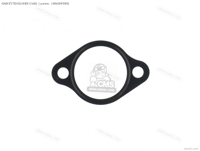 GASKET TENSIONER NAS