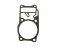 small image of GASKET  CYLINDER RR NAS