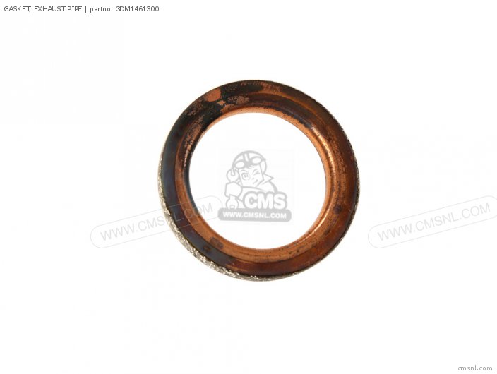 Gasket, Exhaust Pipe (nas) photo