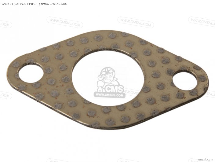Gasket, Exhaust Pipe (nas) photo