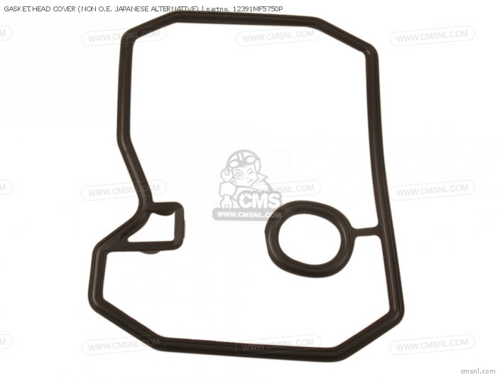 Gasket, Head Cover (nas) photo