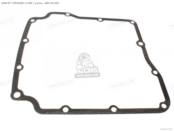 Gasket, Strainer Cover (nas) photo