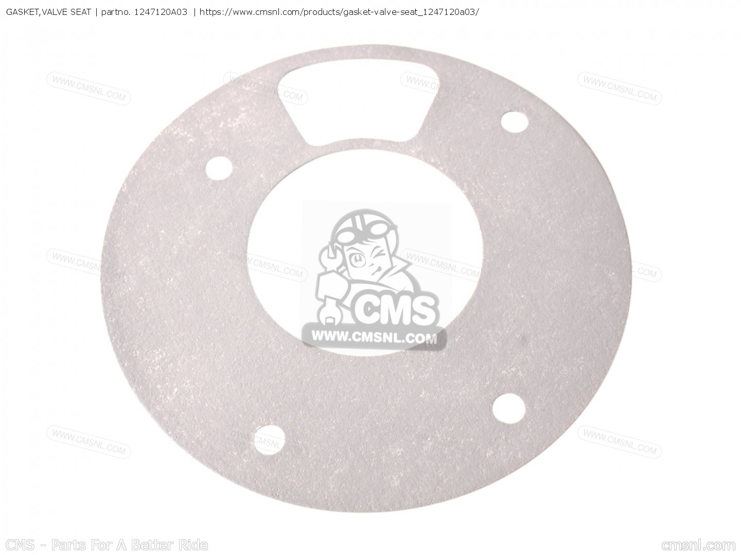 GASKET,VALVE SEAT (NAS) for RG500 1986 (G) (E01 E02 E04 E06 E15 E16 E17
