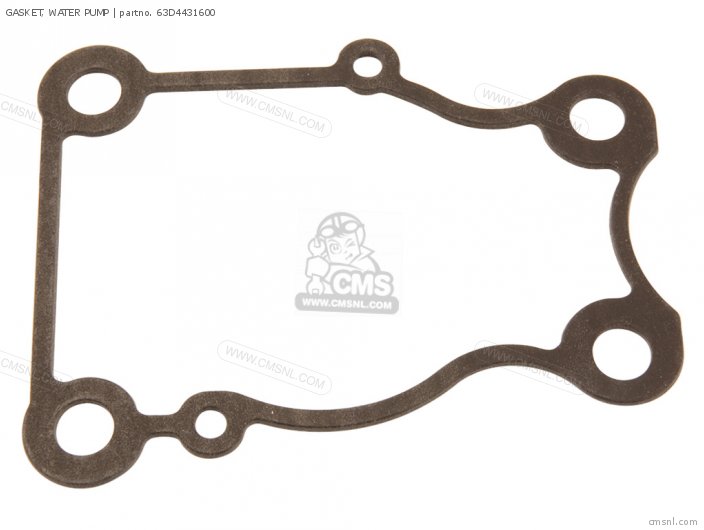 Gasket, Water Pump (nas) photo