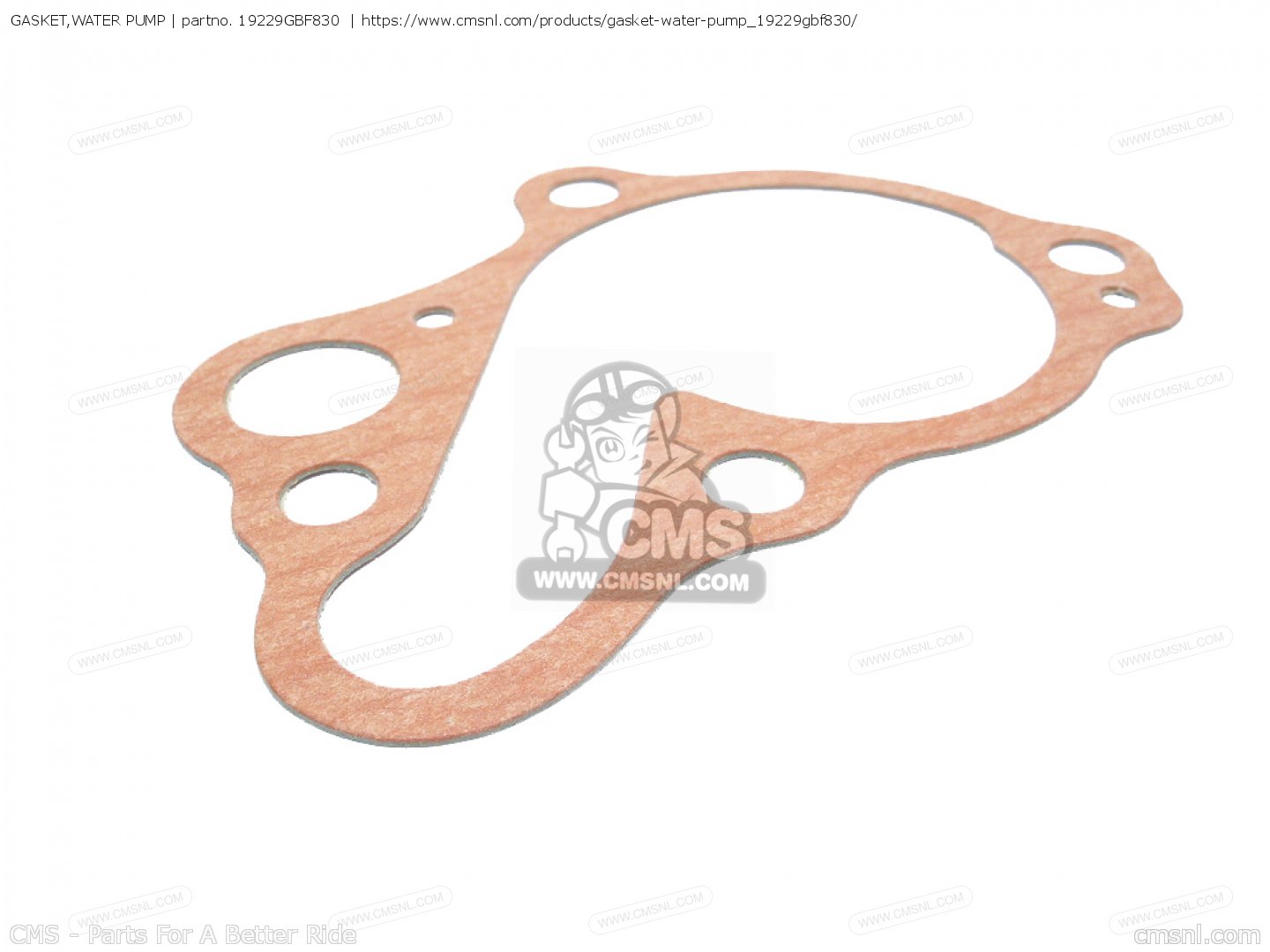 19229GBF830 Gasket,water Pump Honda buy the 19229GBF830 at CMSNL
