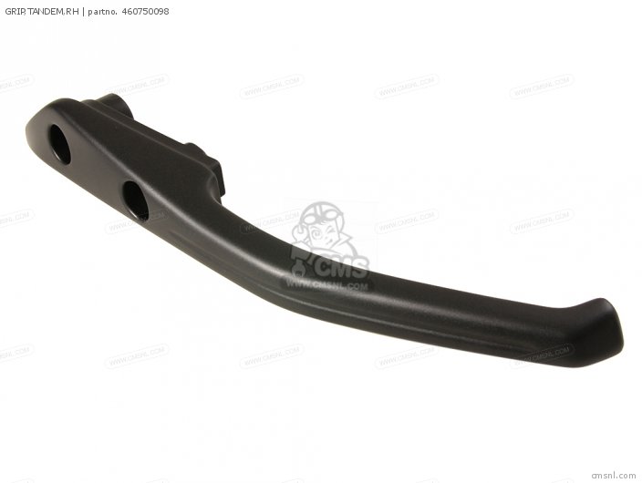 Kawasaki GRIP,TANDEM,RH 460750098