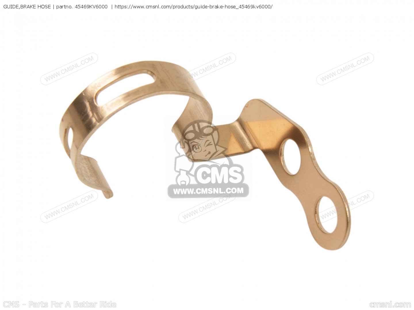 GUIDE,BRAKE HOSE for XR400R 1996 (T) USA order at CMSNL