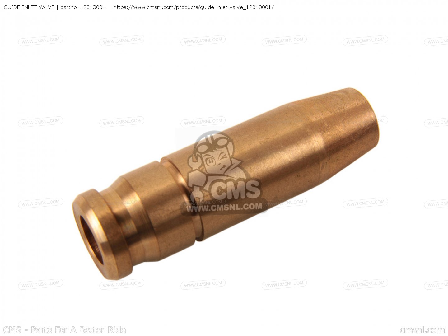 GUIDE,INLET VALVE for Z1 1973 USA CANADA order at CMSNL